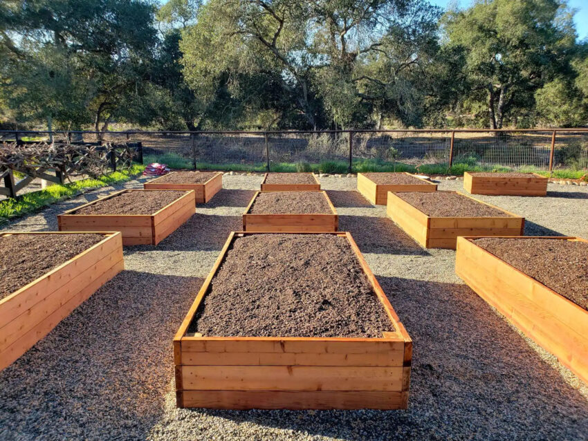 Install Organic Gardening Soil for Raised Beds