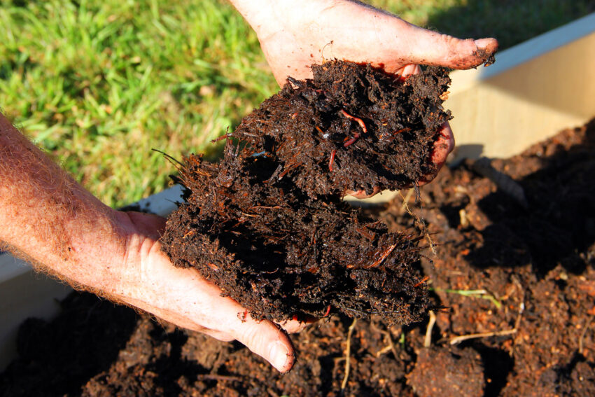 Install Organic Gardening Soil for Raised Beds